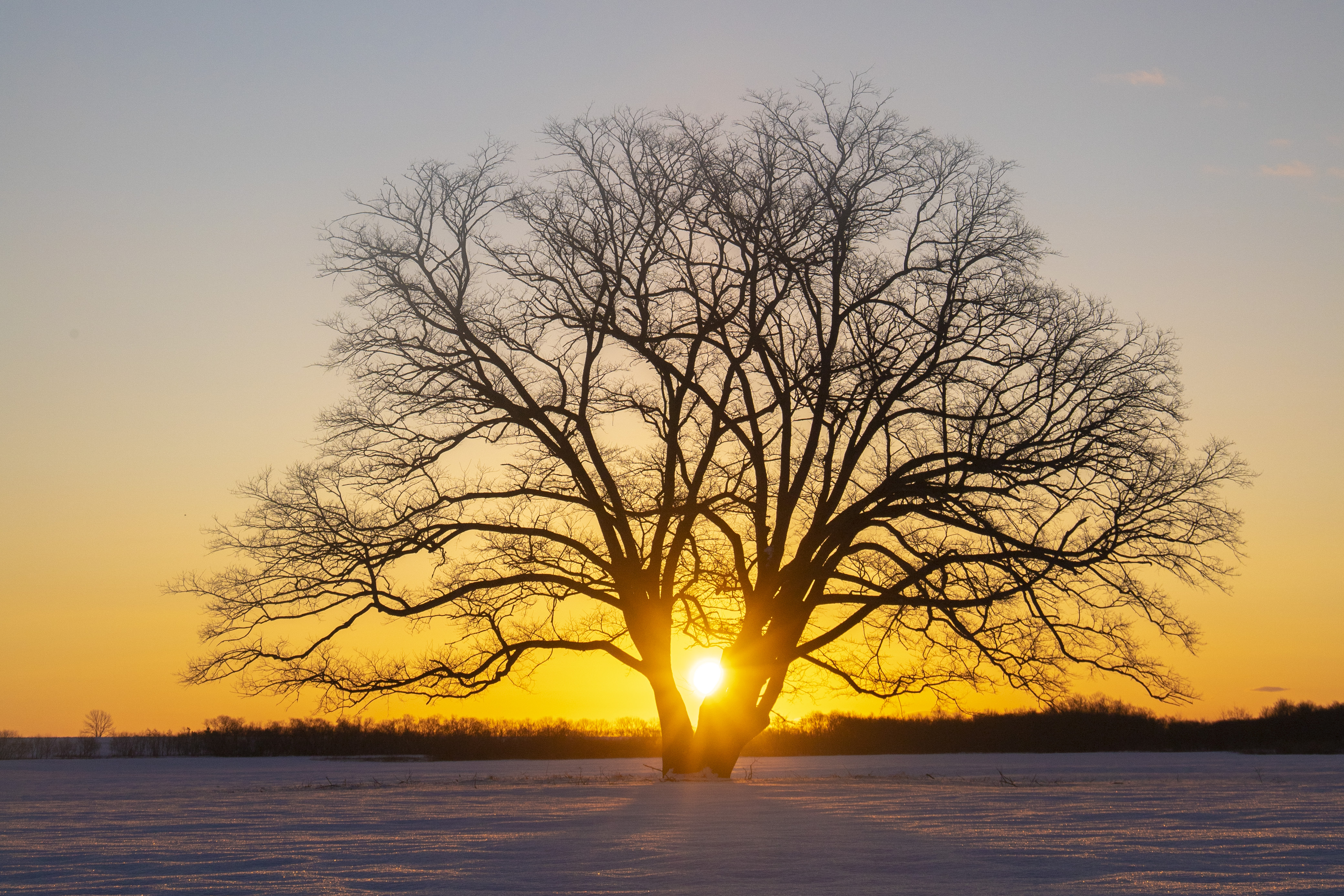 ◆きょうの豊頃