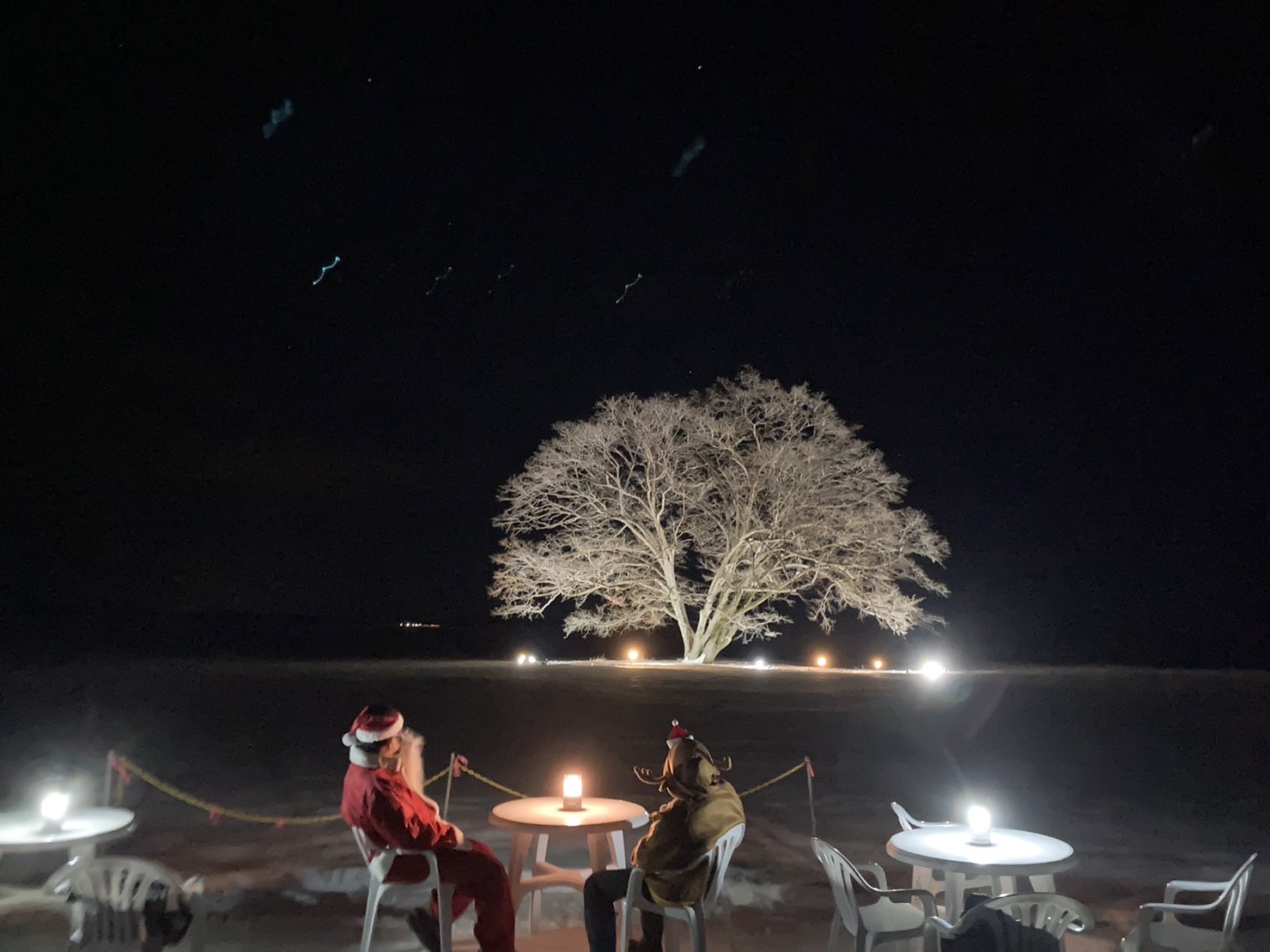 12月24日（土曜日）の画像