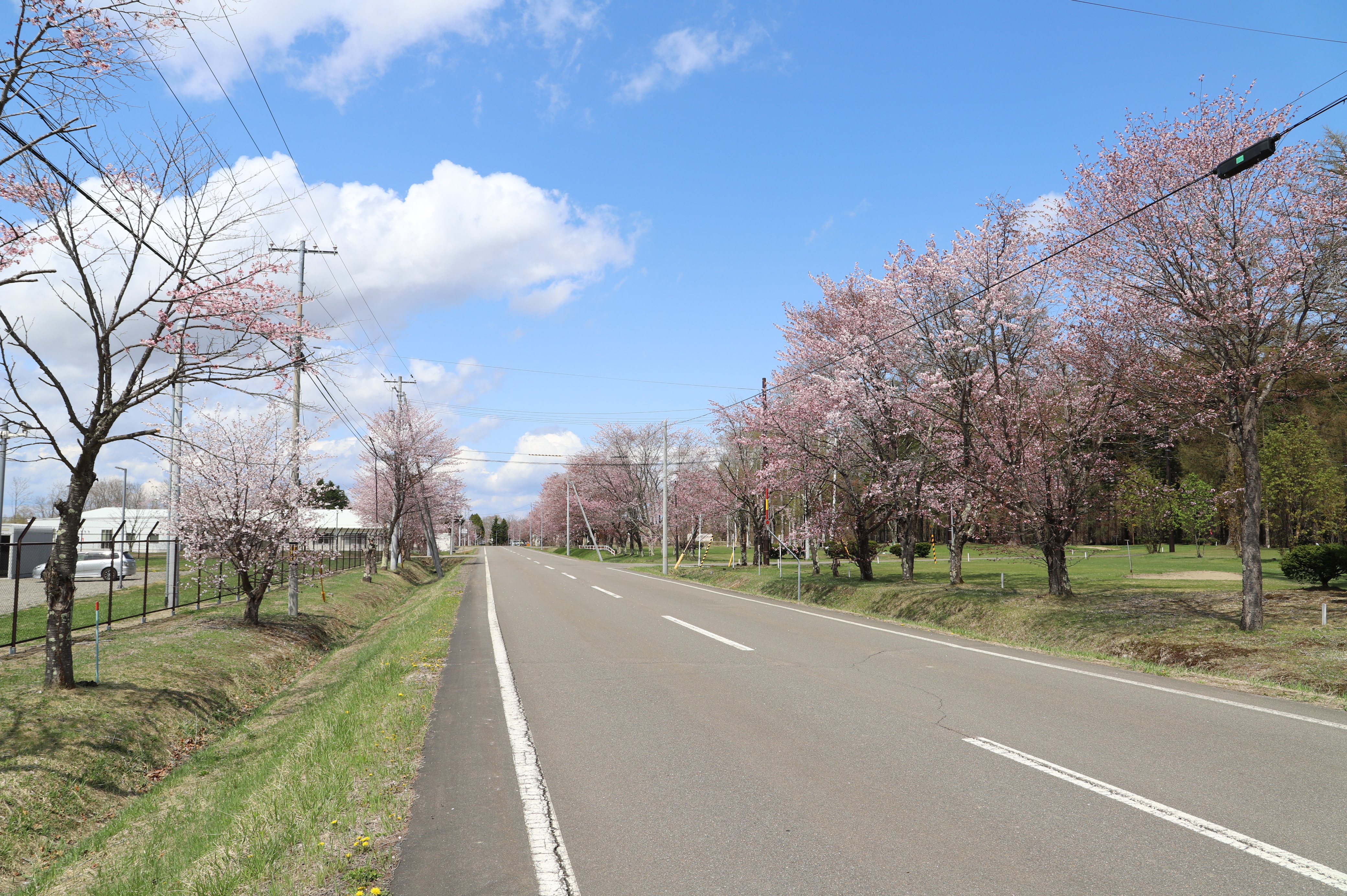 5月2日（月曜日）の画像1