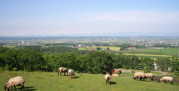 まきばの家展望台(池田町)の画像1