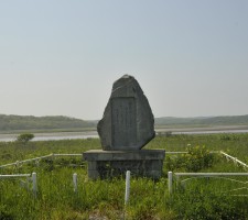 花がきれいな海岸草原群落の画像3