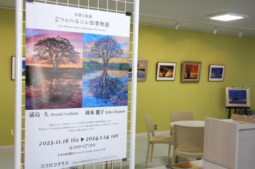 写真と絵画2つのハルニレ四季物語のポスター