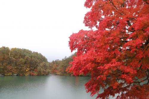 相馬市ツアー3日目⑨