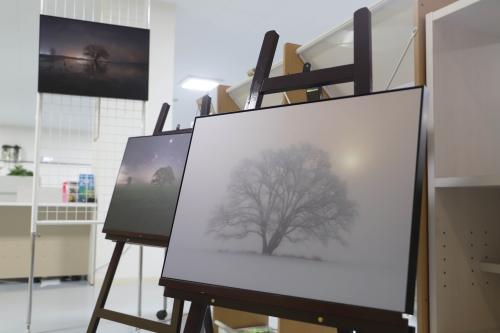 ココロコギャラリー①