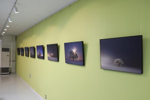 ココロコギャラリー②