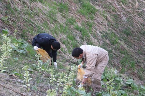 自治労清掃活動
