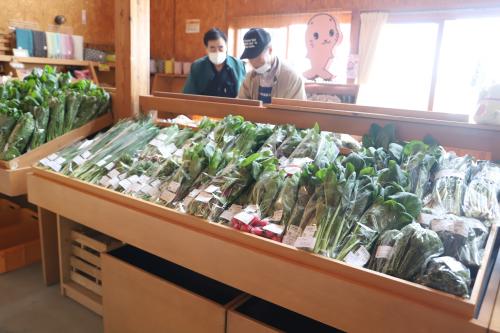 直売所⑤