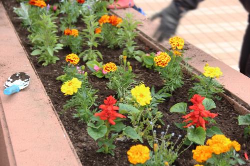 人権の花運動②