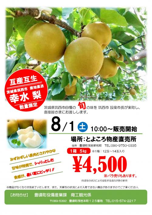 トップセールスチラシ