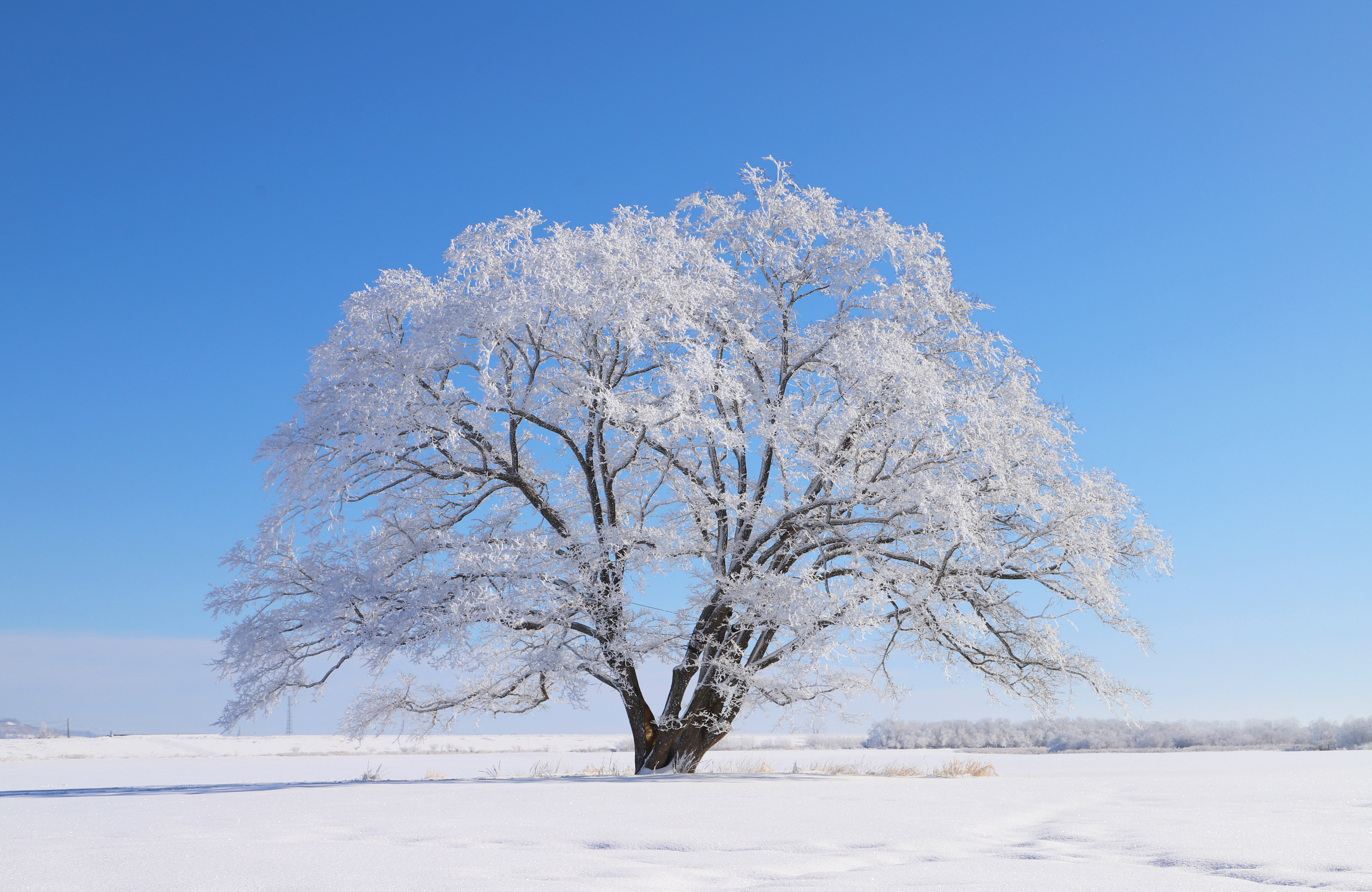 きょうの豊頃のタイトル画像